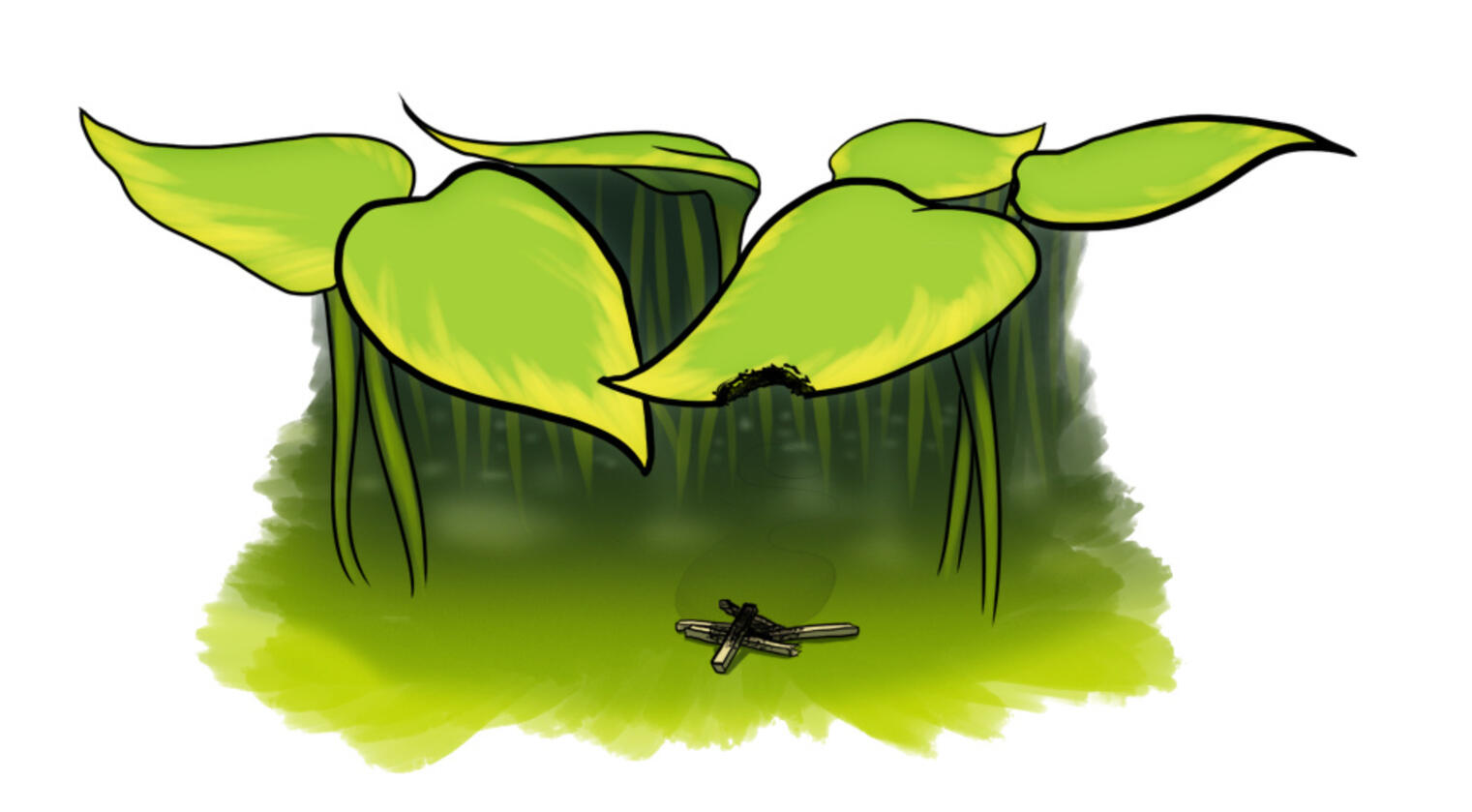 In Small Places (2015, Tapas)