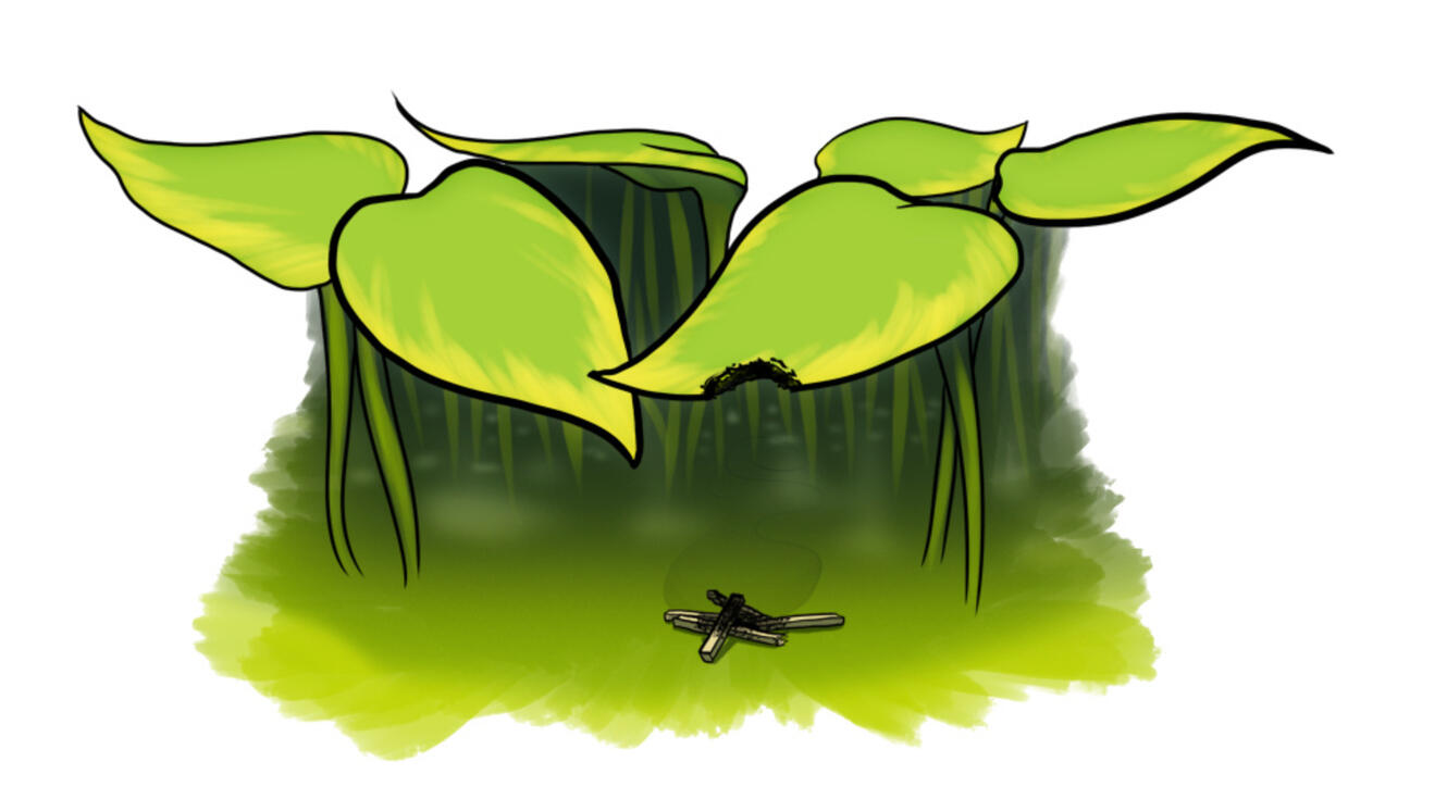 In Small Places (2015, Tapas)