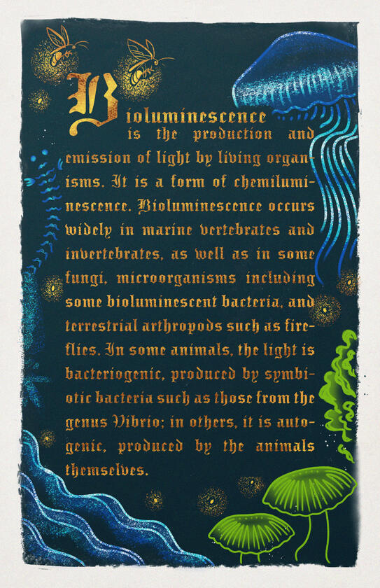 Illuminated Manuscript